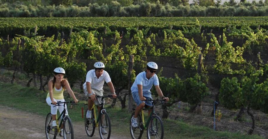 Niagara-on-the-Lake: Bicycle Tour with Wine Tasting - The Ride: 18–23 km, Country Roads, and Niagara Parkway Views