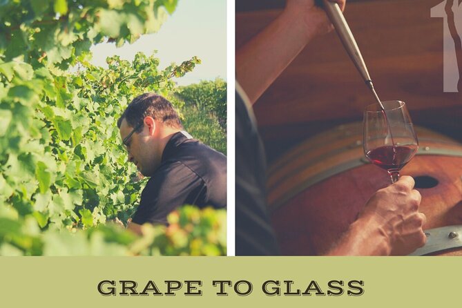 Niagara-on-the-Lake Grape to Glass Wine Experience - Why this 45-minute Niagara-on-the-Lake wine tour actually works