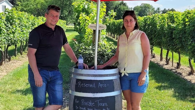 Niagara-on-the-Lake: Sunset Wine Tour with Dinner - The “sunset wine tour” idea actually works