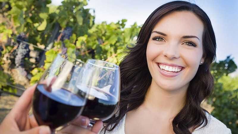 Niagara-on-the-Lake: Sunset Wine Tour with Dinner - The drive views: countryside time without the logistics headache