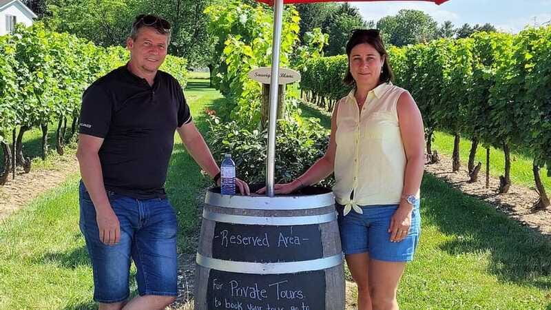 Niagara-on-the-Lake: Sunset Wine Tour with Dinner - Price and value: is $165 fair for what you get?