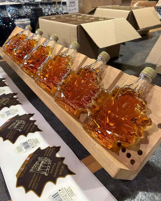 Niagara-on-the-Lake: Ultimate Canadian Food & Wine Tour - Price and value: $65 for six tastings that actually add up