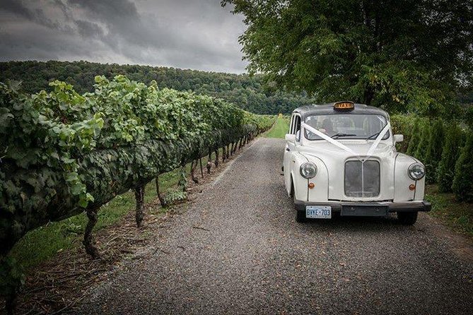 Niagara-on-the-Lake Wine Tour with Lunch -Private Tour in Classic English Cab - Stop 5: Between the Lines and the Two-Brothers Story
