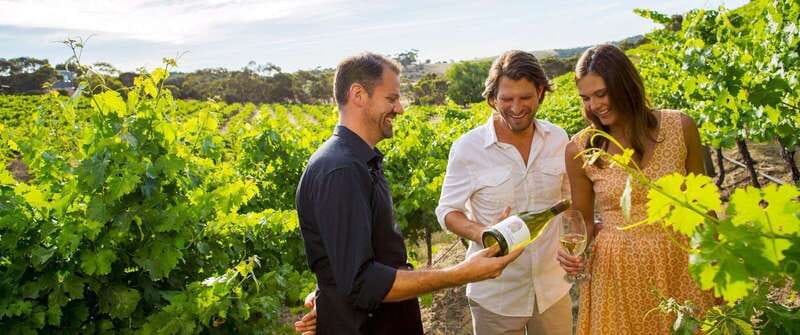 Niagara-on-the-Lake: Wine Tour with Tastings and Lunch - Key Things to Know Before You Go