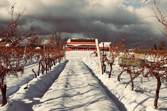 Niagara's Decadent Sparkling and Icewine Tasting - Price and Value: What $22.94 Gets You (and Why It Adds Up)