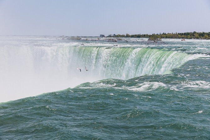 Niagara Underground Tour: Power Station and Tunnel Under Falls - Nikola Tesla statue: the tech story that ties the whole tour together