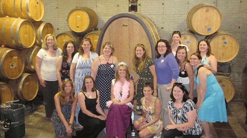 Ontario: Afternoon Wine Tour and Cheese Pairing - Key highlights at a glance
