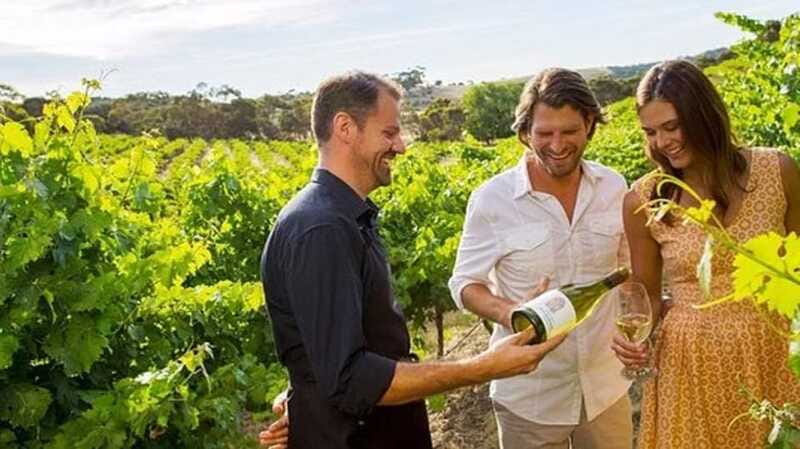 Ontario: Afternoon Wine Tour and Cheese Pairing - Your route: three wineries, and how the tastings are built for comparison