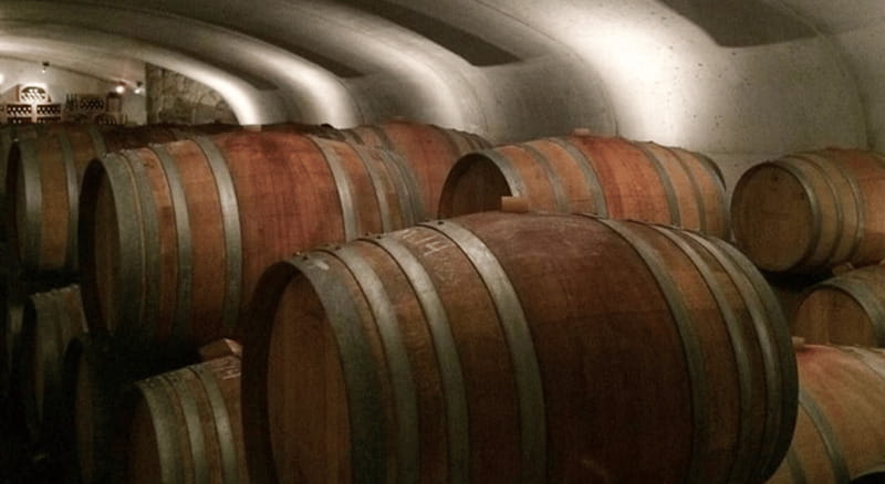 Ontario: Afternoon Wine Tour and Cheese Pairing - Konzelmann’s wine-and-cheese pairing: the moment that ties it together