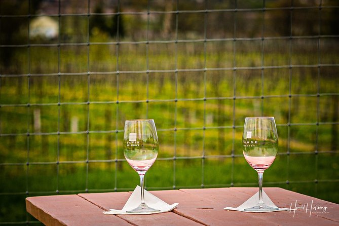 Private Customizable Niagara Day Trip/Wine Tour from Toronto - Niagara Falls Time: Stretching an 8-Hour Day