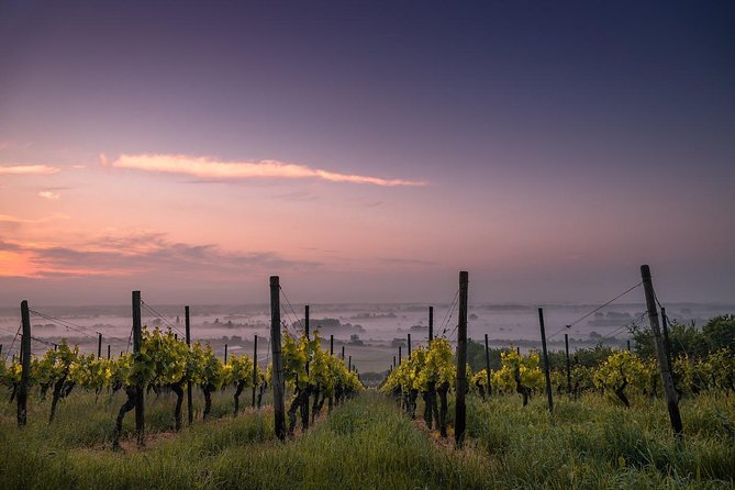 Private Customizable Niagara Day Trip/Wine Tour from Toronto - Skip the Stops You Don’t Want, Without Sacrificing the Day