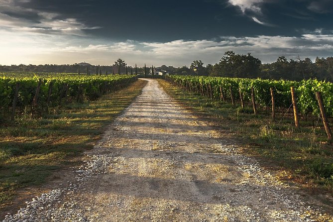 Private Customizable Scenic Niagara Boutique-Winery Day Tour - Key things to know before you go