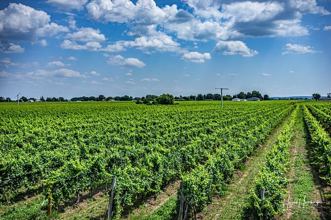 Private Customizable Scenic Niagara Boutique-Winery Day Tour - Tasting fees, lunch time, and how to budget the day right