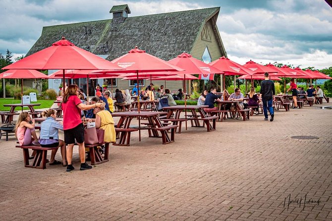 Private Customizable Scenic Niagara Falls Day Trip/Tour/Adventure - Timing, Communication, and the One-Day Reality Check