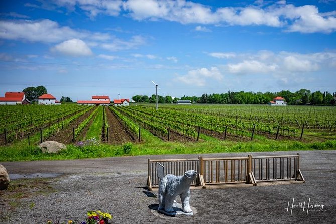 Private Customizable Wine-Tasting Adventure/Day Tour Niagara - Lunch and snacks: how to stay happy between tastings