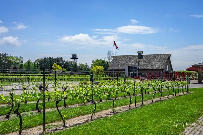 Private Customizable Wine-Tasting Adventure/Day Tour Niagara - What you’re really paying for at about $413.07 per person
