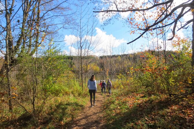 Private Greater Toronto DriveSpa Tour with Lunch - Spirit Tree Estate Cidery: lunch plus cider at a slow-food pace