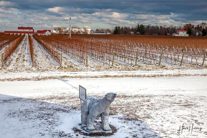 Private Niagara Ice Wine Tour - What You’ll Learn About Ice Wine (and How to Enjoy It With Food)