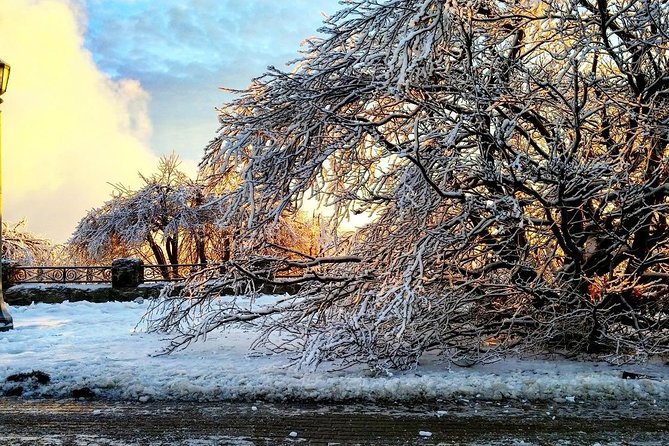 Private Niagara Ice Wine Tour - Price and Value: What $296.92 Per Person Gets You