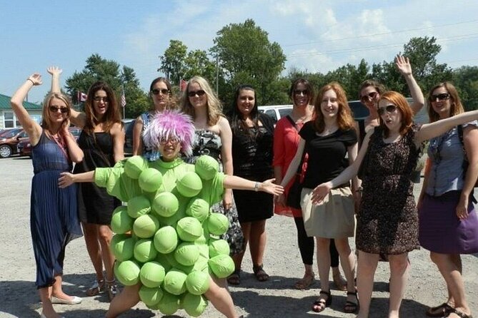 Relaxing Afternoon Wine Tour through Niagara's Wine Country - Comfort Matters: Vehicle, Group Size, and Staying Sane