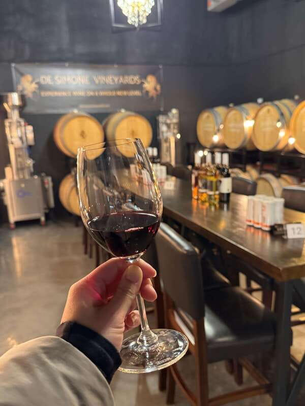 Relaxing Lunch & Wine Tour through Niagara's Wine Country - Key Things I’d Mark on Your Map