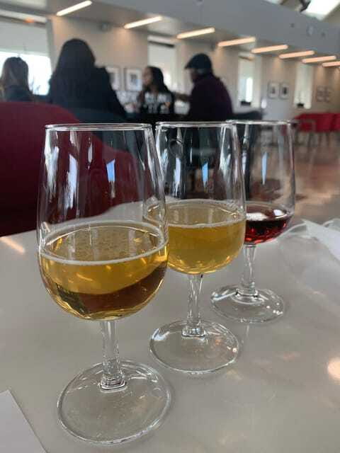 Relaxing Lunch & Wine Tour through Niagara's Wine Country - Who This Tour Fits Best (And Who Might Skip It)
