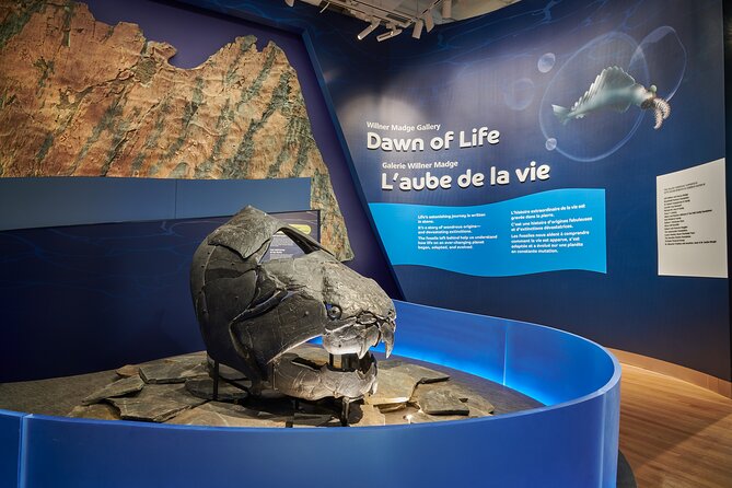 Royal Ontario Museum Admission - Royal Ontario Museum tickets: what you really get for the price