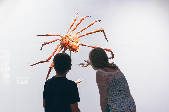 Royal Ontario Museum Admission - Family visits work best when you aim for the right zones