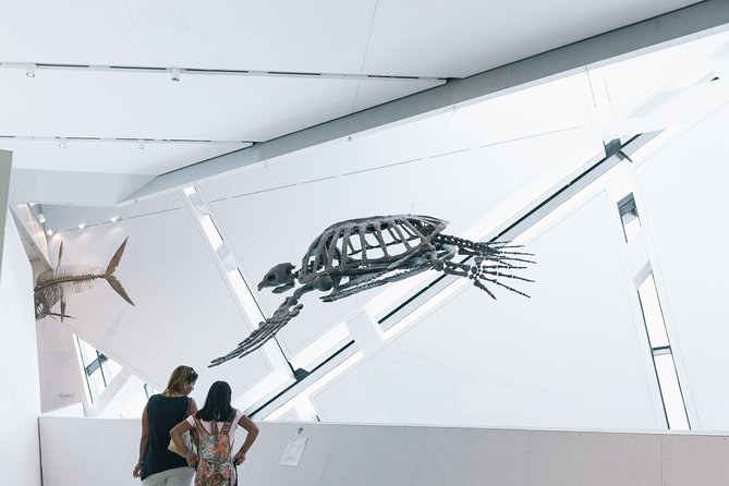 Royal Ontario Museum Admission - Special exhibitions and add-ons: when upgrading is worth it