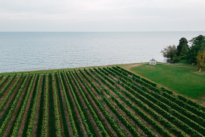 Seated Tasting Experience at Konzelmann Winery - Seated Tasting at Konzelmann: A Quick, Focused Niagara Stop