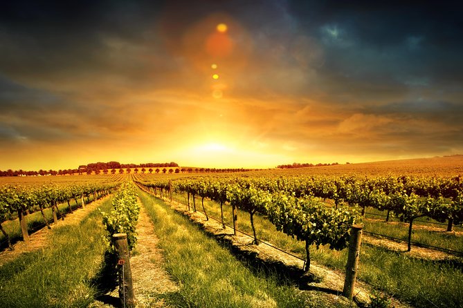 Three Courses Lunch and Wine Tour Through Niagara's Wine Country - Niagara Wine Country, without the DIY stress