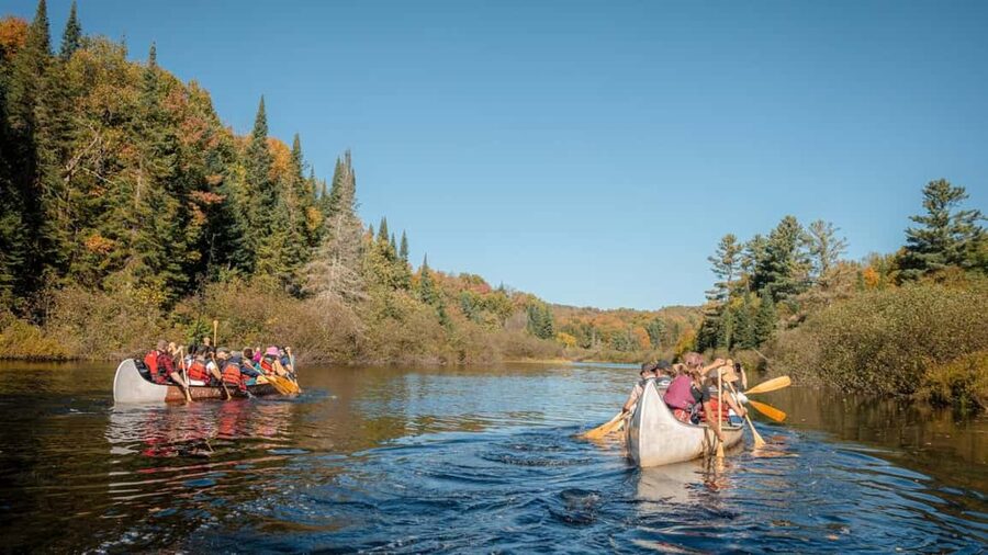Toronto: Algonquin Park and Ragged Falls Day Trip - Key things I think you’ll love on this Toronto to Algonquin Park day