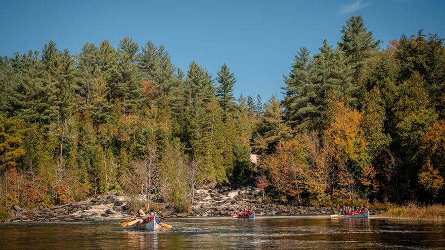 Toronto: Algonquin Park and Ragged Falls Day Trip - Toronto to Algonquin in one day: what makes this route worth it