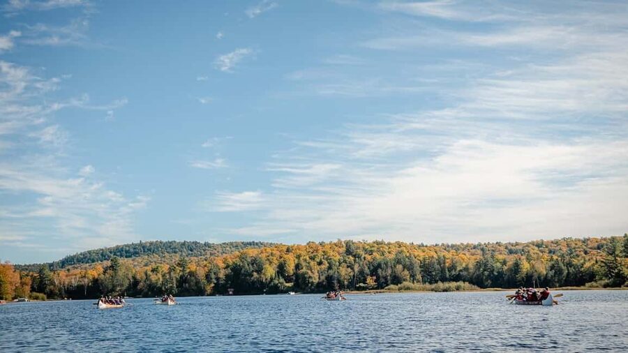 Toronto: Algonquin Park and Ragged Falls Day Trip - The mini-bus ride: comfort, entertainment, and a guide who explains what you’re seeing