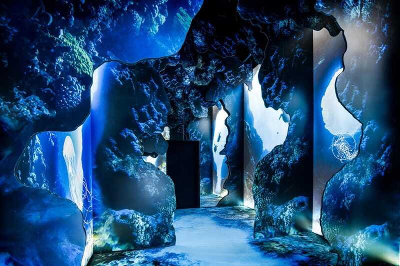 Toronto: Arcadia Earth, Immersive Experience Anytime Ticket - How to time your visit using the day’s schedule
