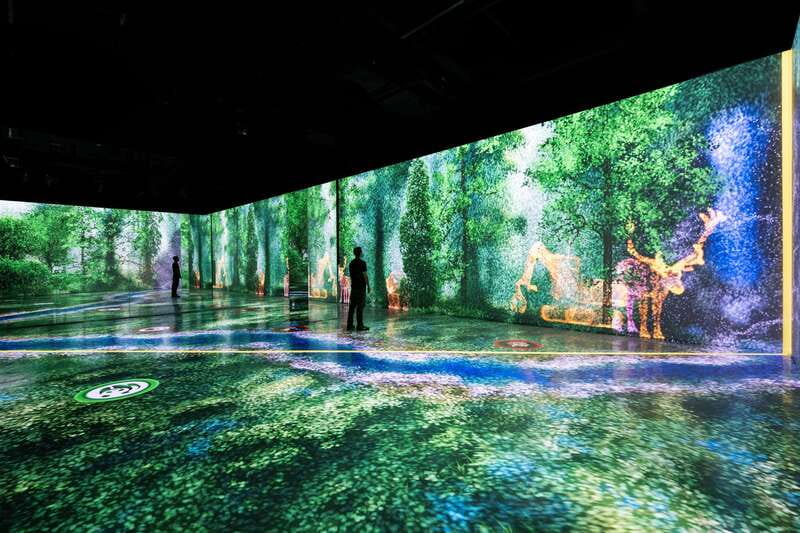 Toronto: Arcadia Earth, Immersive Experience Anytime Ticket - The anytime ticket format: flexibility without confusion