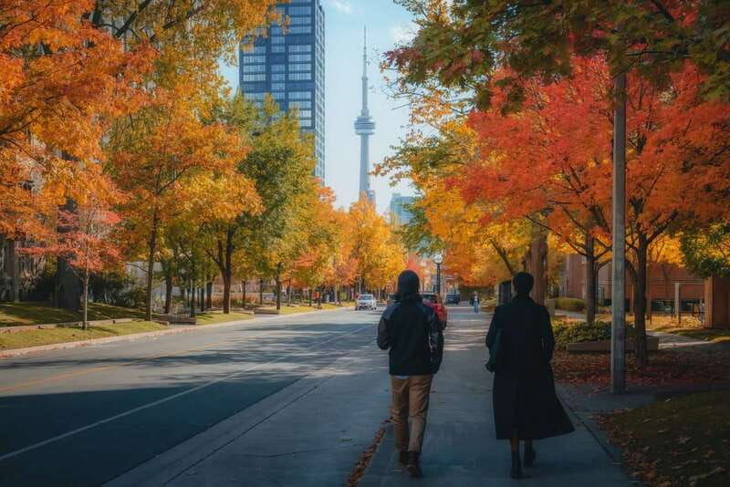 Toronto: City Highlights Walking Tour | 3-Hour - Pacing, small-group feel, and what your guide is actually best at