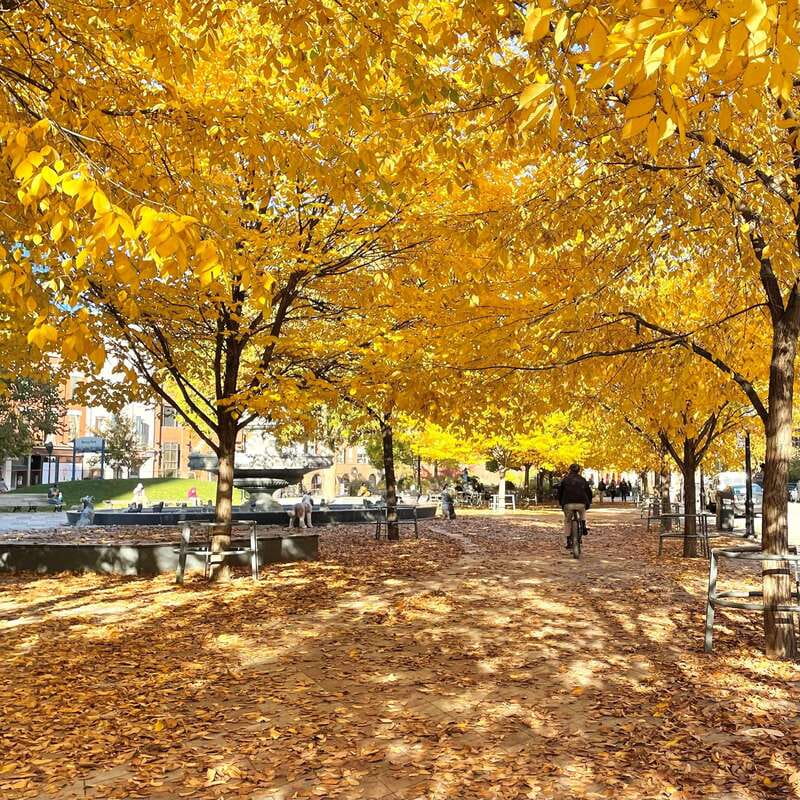 Toronto: City Walking Tour - The PATH network: the underground system that changes how you move