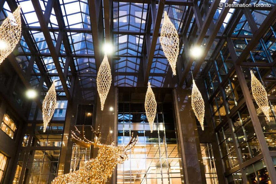 Toronto: Festive Lights Bus Tour - Live expert commentary: more than just pointing at lights