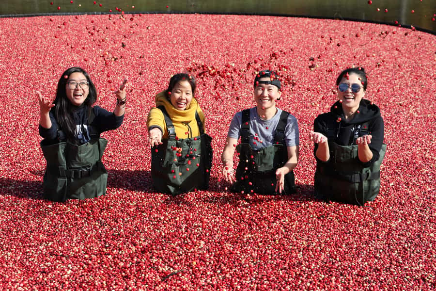 Toronto: Muskoka Cranberry Farm and Hardy Lake Hike - Hardy Lake Provincial Park hike: matching the trail to your group