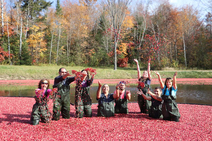 Toronto: Muskoka Cranberry Farm and Hardy Lake Hike - Muskoka sightseeing time: what you do with the second chunk of daylight