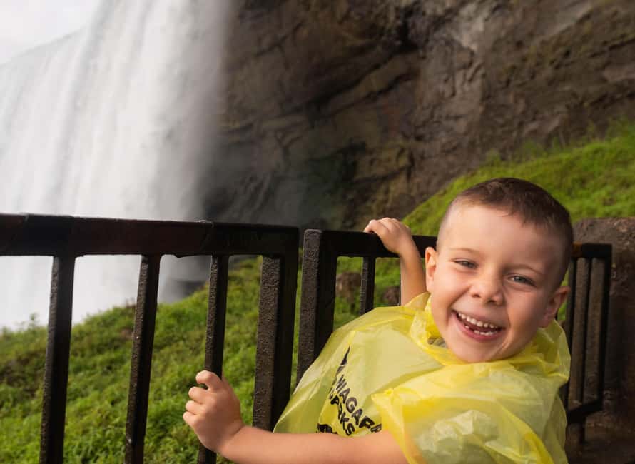 Toronto: Niagara Falls Bus Tour with Maple Tasting and NOTL - Niagara-on-the-Lake in 45 minutes: where to focus