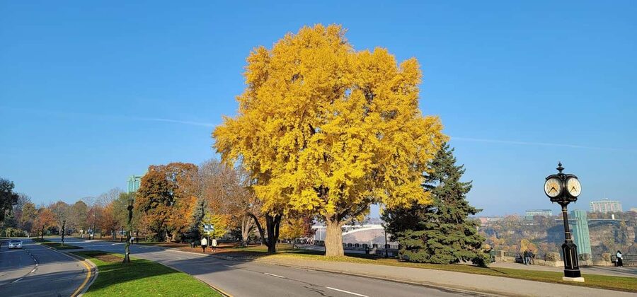 Toronto: Niagara Falls & NOTL Heritage Town Guided Day Tour - What to Bring (So You Don’t Miss the Best Moments)