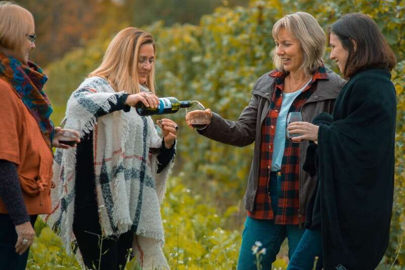 Toronto: Niagara Wineries Tasting Tour & Optional Lunch - Inside a Small-Group Winery Day: Tastings, Time, and How Not to Feel Rushed