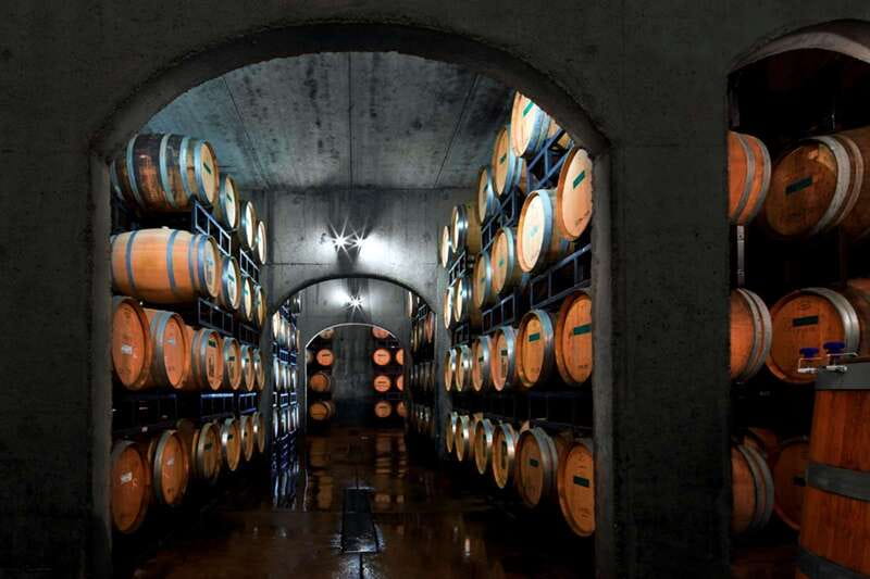 Toronto: Niagara Wineries Tasting Tour & Optional Lunch - Who This Tour Fits Best (and Who Should Consider Another Plan)