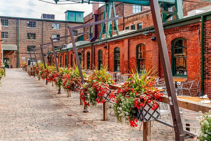 Toronto: Premium Night Driving Tour with Tower Entry - Key Highlights You’ll Actually Care About