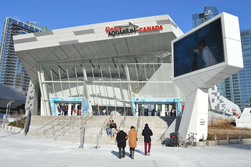 Toronto: Ripley's Aquarium of Canada Entry Ticket - Where Ripley’s Aquarium of Canada fits in a Toronto day