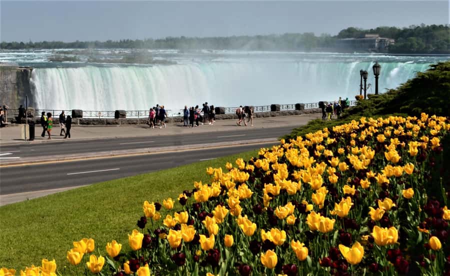 Toronto: Small-Group Niagara Falls Day Trip - Niagara Falls (Canadian side) orientation, photo time, and guided walkthroughs