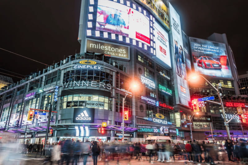Toronto: Small Group Night Tour with Harbour Boat Cruise - Transportation Comfort and Efficiency: Why a Van Is a Real Plus