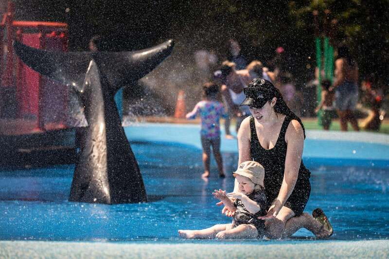 Toronto: Toronto Zoo Entry Ticket - Family favorites: Kids Zoo, Waterside Theatre, and Splash Island
